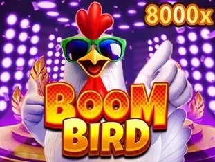 Boom Bird game thumbnail